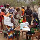 drought-tolerant maize distribution in Tanzania